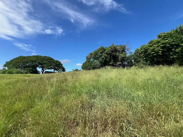 Listing Image for 622 Luana Pl 19 of 22