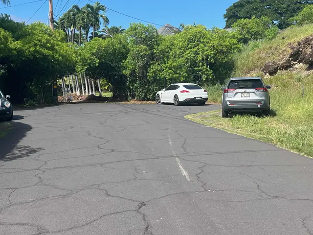 Listing Image for 622 Luana Pl 22 of 22