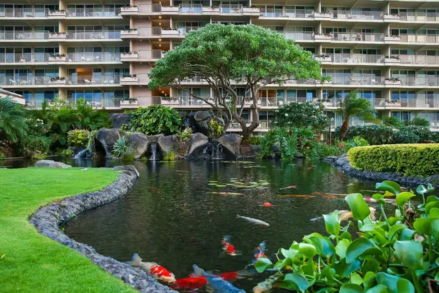 Listing Image for 2481 Kaanapali Pkwy 214 W 30 of 40