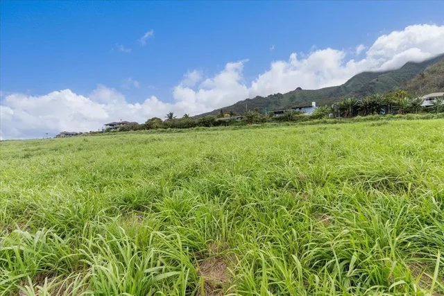 Listing Image for 563 Kauna Lipo Dr 7 of 12