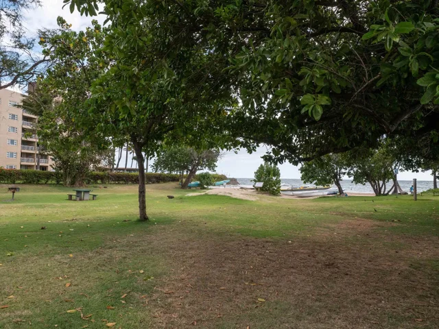 Listing Image for 15 Kulanihakoi St 12g 16 of 20