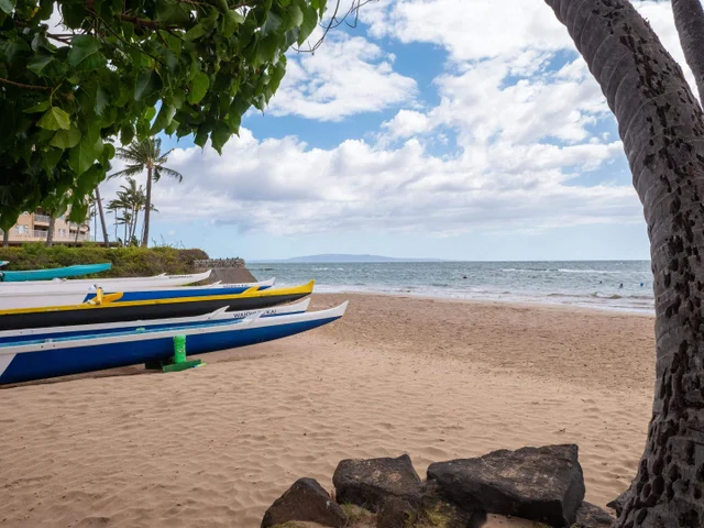 Listing Image for 15 Kulanihakoi St 12g 17 of 20