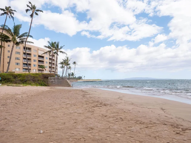 Listing Image for 15 Kulanihakoi St 12g 18 of 20