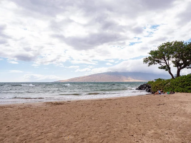 Listing Image for 15 Kulanihakoi St 12g 19 of 20