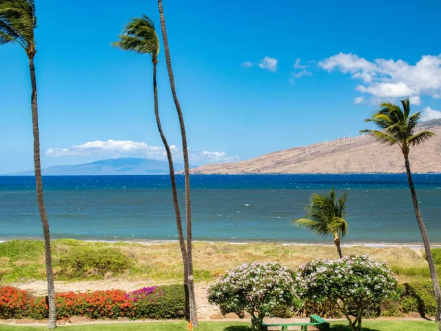 Listing Image for 800 S Kihei Rd 303 44 of 50