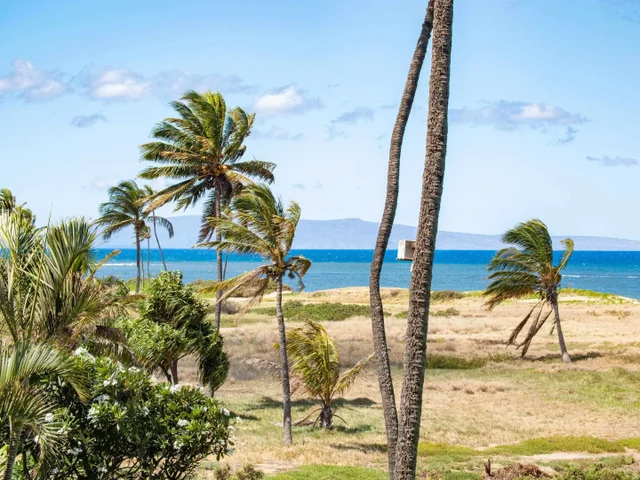 Listing Image for 800 S Kihei Rd 303 50 of 50