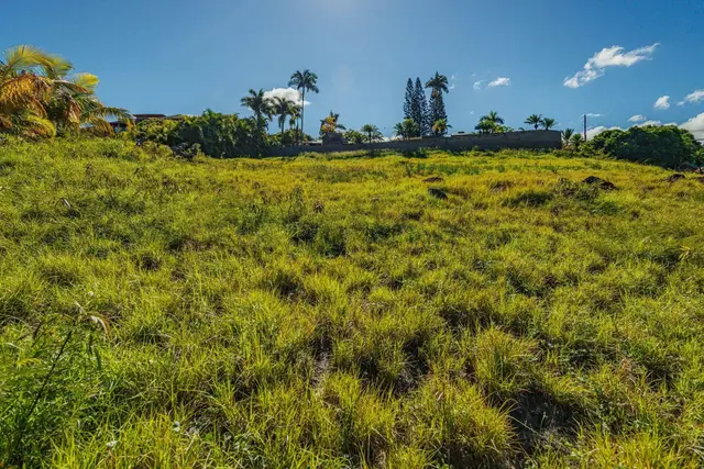 Listing Image for 659 Kupulau Dr 33 of 50