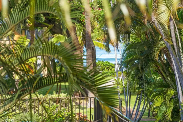 Listing Image for 3559 Lower Honoapiilani Rd 1k 4 of 35