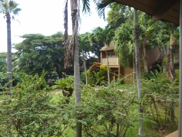 Listing Image for 100 Lio Pl R3 13 of 30