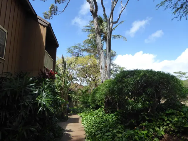 Listing Image for 100 Lio Pl R3 22 of 30