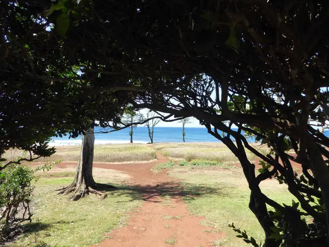 Listing Image for 100 Lio Pl R3 25 of 30
