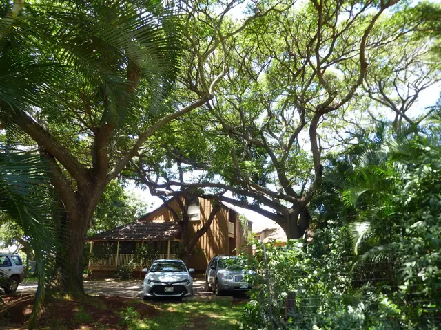 Listing Image for 100 Lio Pl R3 30 of 30