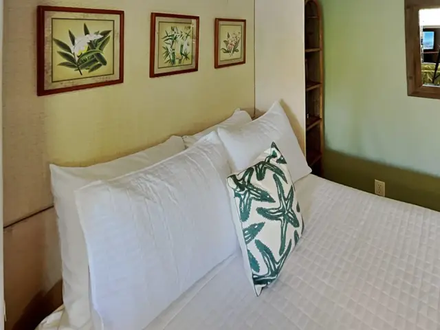 Listing Image for 2531 S Kihei Rd D101 20 of 23