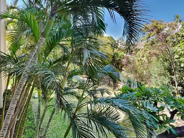 Listing Image for 2531 S Kihei Rd D101 22 of 23