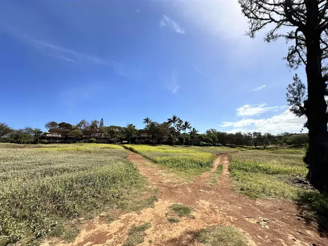 Listing Image for 100 Lio Pl N-2 21 of 35