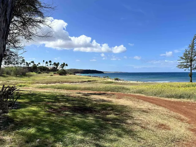 Listing Image for 100 Lio Pl N-2 22 of 35