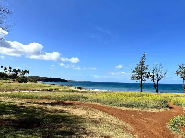 Listing Image for 100 Lio Pl N-2 29 of 35