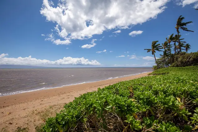 Listing Image for 2176 Kamehameha V Hwy 20 of 26