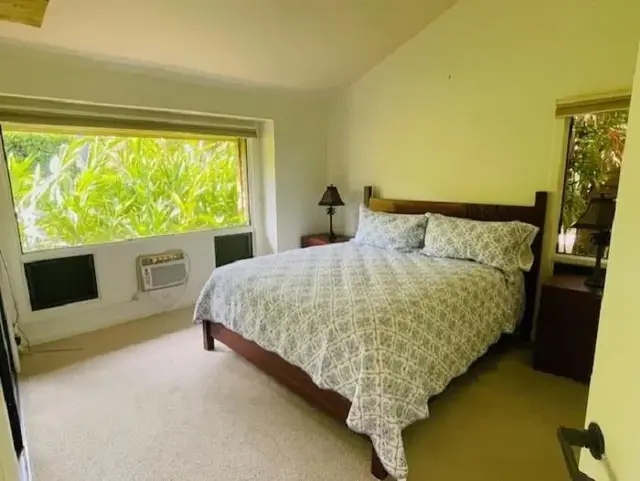 Listing Image for 50 Puu Anoano St 2001 9 of 23
