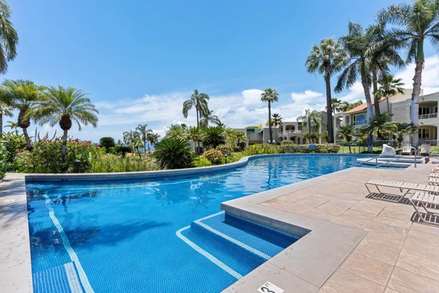 Listing Image for 3200 Wailea Alanui Dr 203 19 of 38