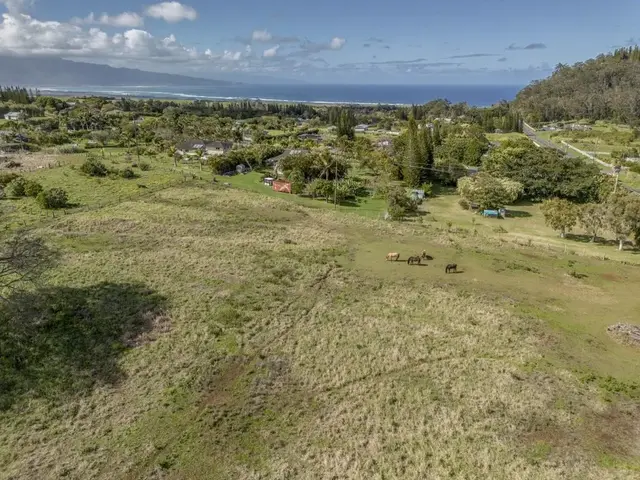 Listing Image for 2020 Kokomo Rd Rd 15 of 16