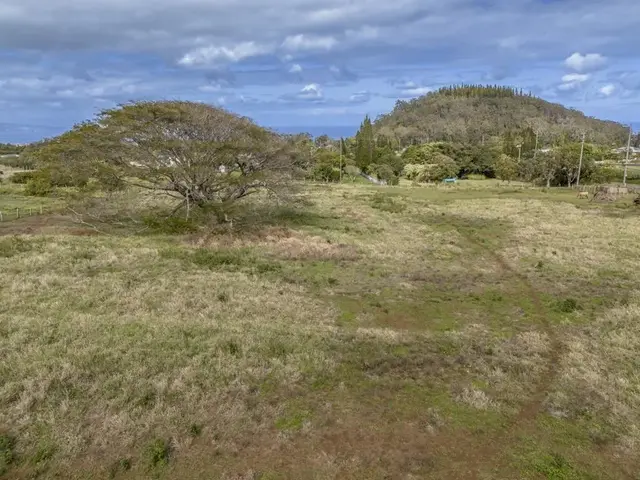 Listing Image for 2020 Kokomo Rd Rd 7 of 16
