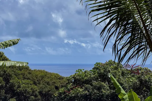 Listing Image for 420 Haumana Rd 20 of 33