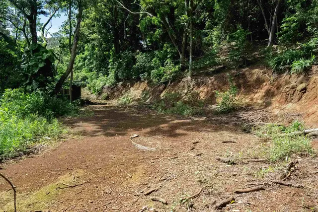 Listing Image for 420 Haumana Rd 28 of 33
