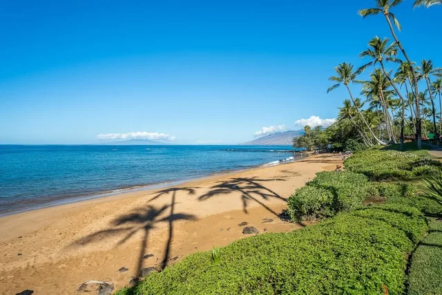 Listing Image for 10 Wailea Ekolu Pl 208 36 of 40