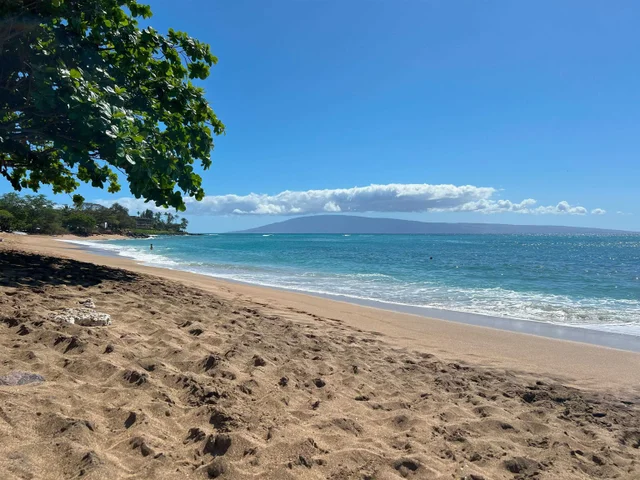 Listing Image for 4299 Lower Honoapiilani Rd 456 37 of 46