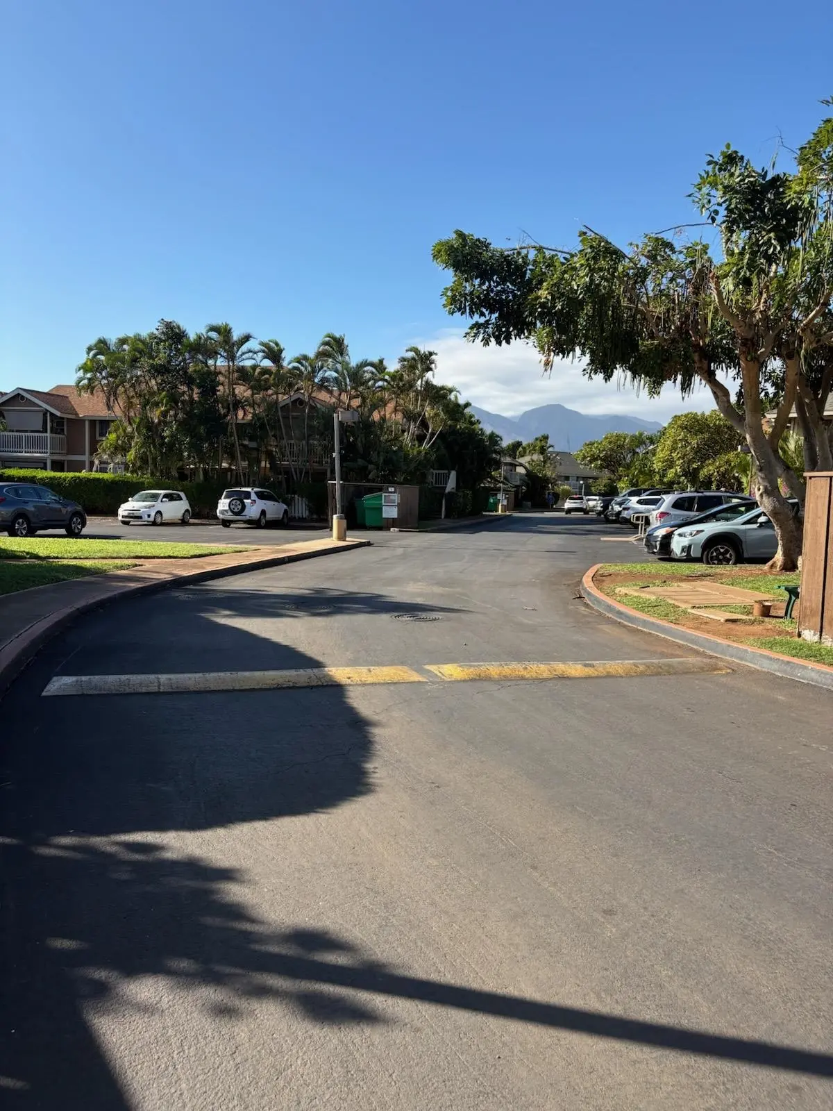 Photo of Listing #409139