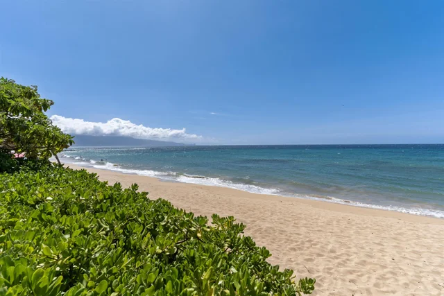 Listing Image for 49 Hana Hwy 27 of 36