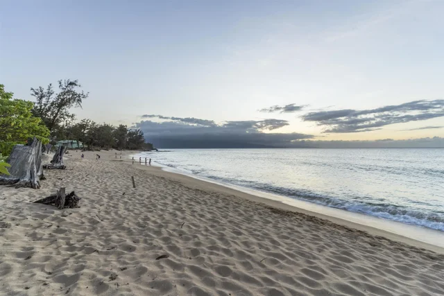 Listing Image for 49 Hana Hwy 33 of 36