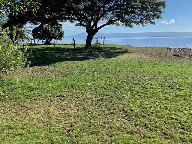 Listing Image for 2771 Kamehameha V Hwy 23 of 25