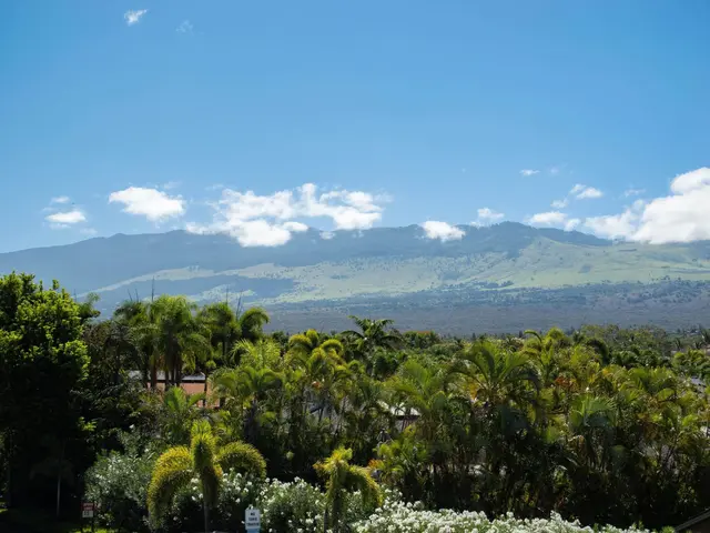 Listing Image for 2895 S Kihei Rd 201 11 of 18