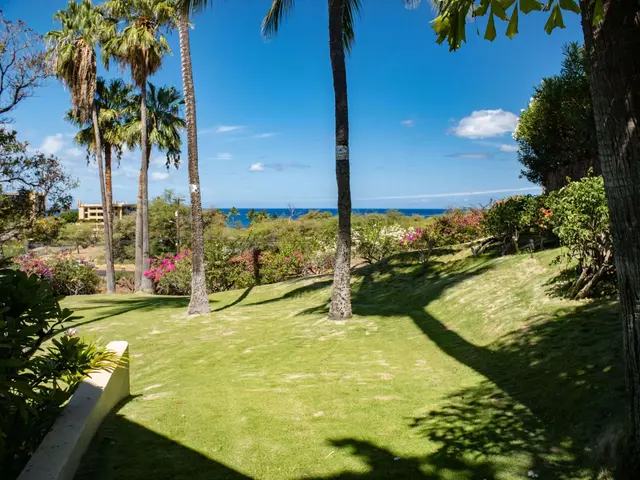 Listing Image for 2895 S Kihei Rd 201 17 of 18