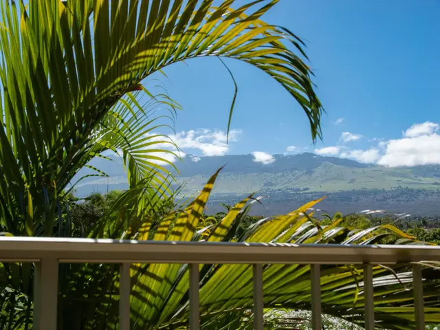 Listing Image for 2895 S Kihei Rd 201 9 of 18