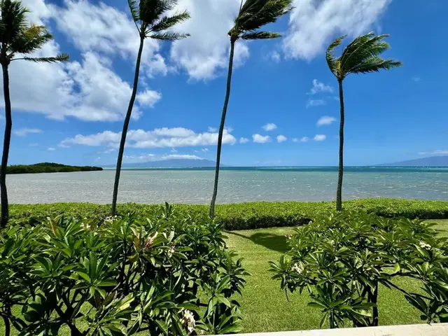 Listing Image for 7142 Kamehameha V Hwy A213 1 of 26