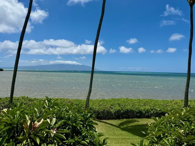 Listing Image for 7142 Kamehameha V Hwy A213 14 of 26