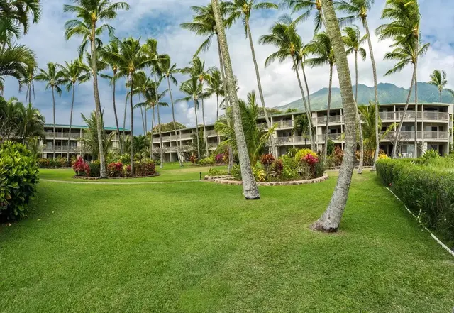Listing Image for 7142 Kamehameha V Hwy A213 2 of 26
