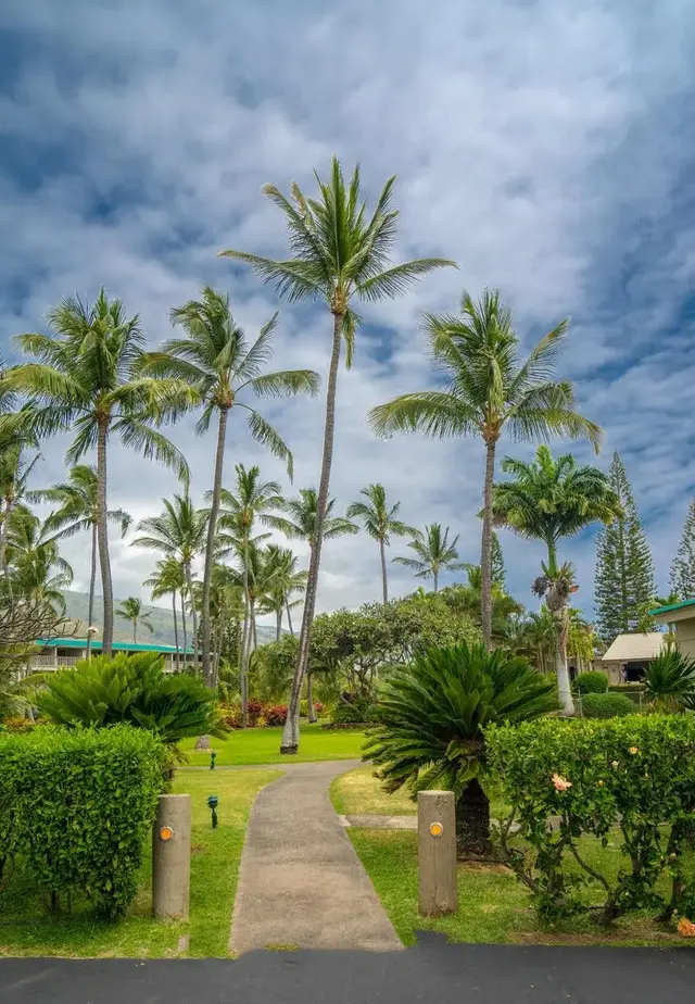 Listing Image for 7142 Kamehameha V Hwy A213 24 of 26