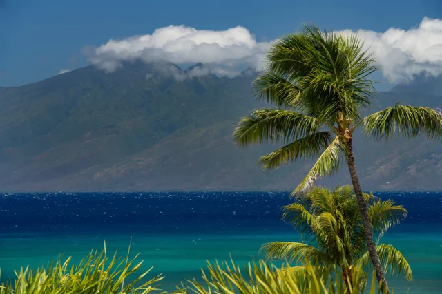 Listing Image for 4299 Lower Honoapiilani Rd 134 1 of 50