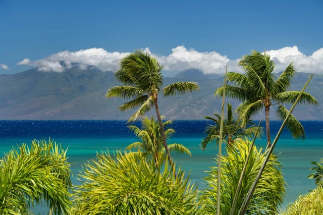 Listing Image for 4299 Lower Honoapiilani Rd 134 21 of 50