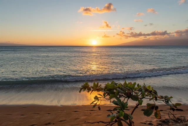 Listing Image for 4299 Lower Honoapiilani Rd 134 40 of 50