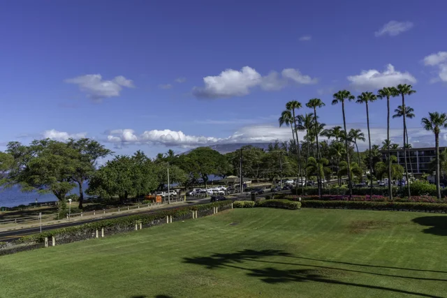 Listing Image for 2695 S Kihei Rd 10-203 15 of 50