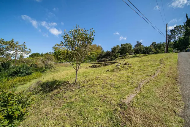 Listing Image for 790 Kekaulike Ave 9 of 14