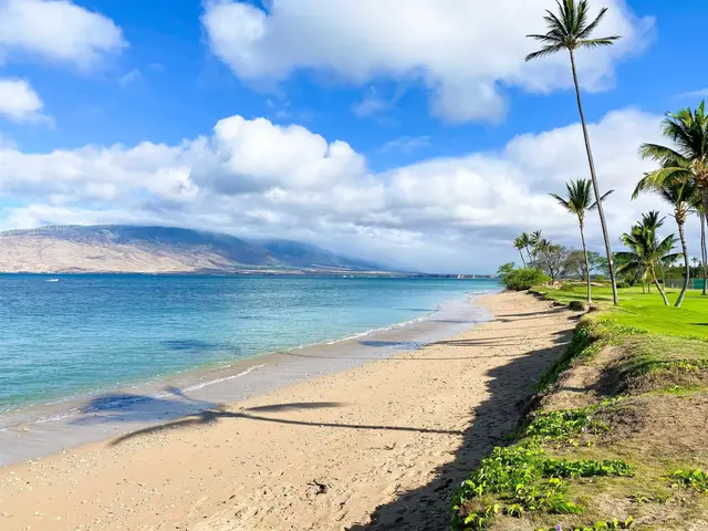 Listing Image for 1032 S Kihei Rd A116 19 of 36