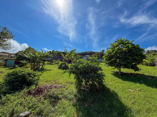 Listing Image for 2129 Akeu Way 11 of 22