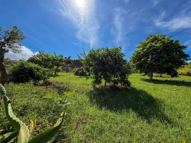 Listing Image for 2129 Akeu Way 12 of 22