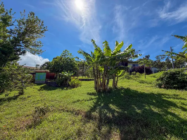 Listing Image for 2129 Akeu Way 13 of 22